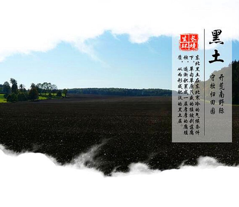 如何有效利用三河小时工，提升工作效率